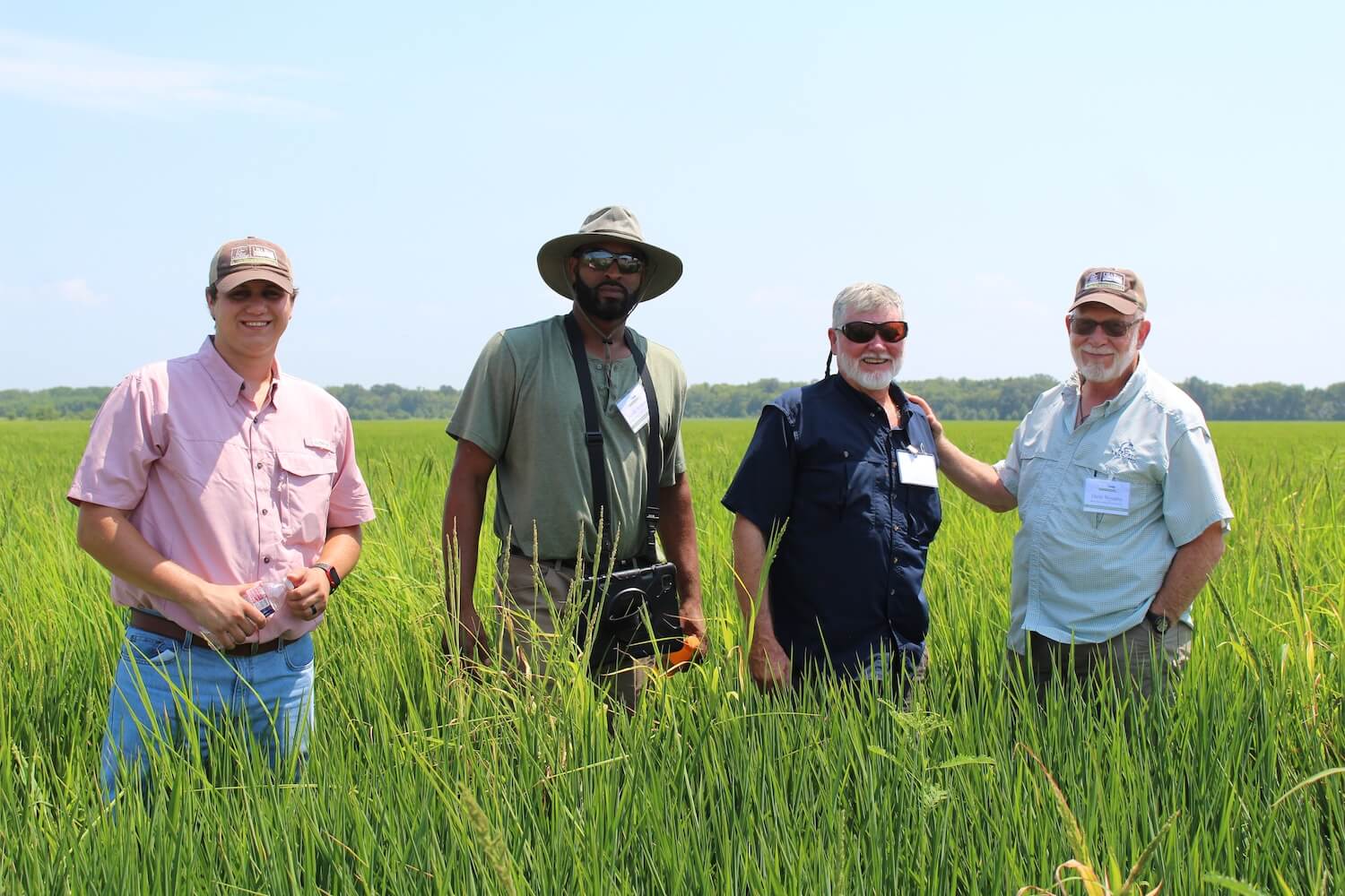 RicePartnersRiceField.JPG