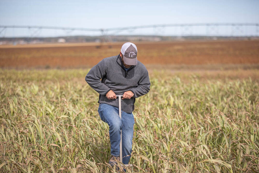DU Agronomist.jpg